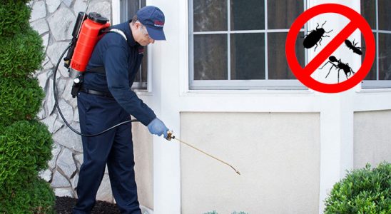 Saray Dezenfeksiyon böcek ilaçlama ve haşere kontrolü — ilaclama-tr.com